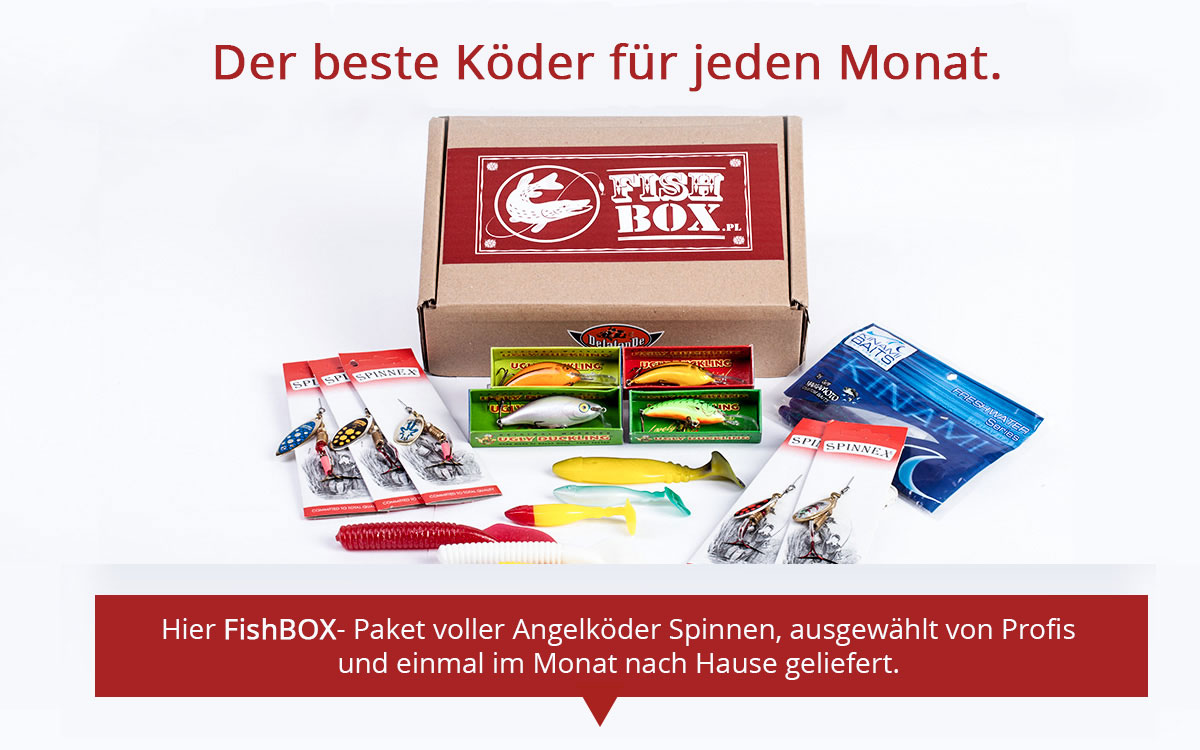 Zestaw FishBOX